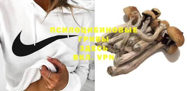 кокс Алзамай