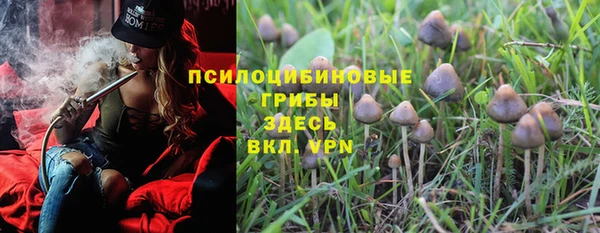 кокс Алзамай