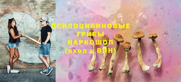 дурь Алексин