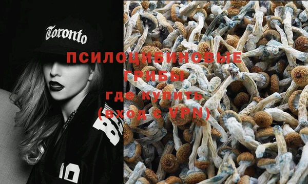 кокс Алзамай